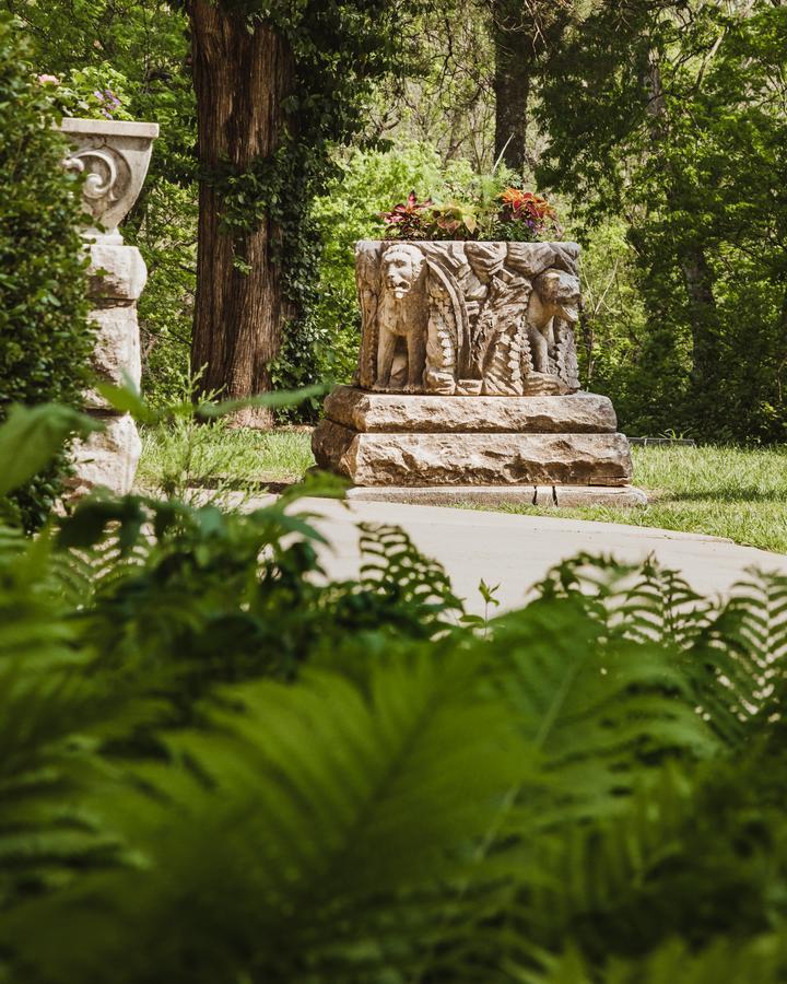 مبيت وإفطار سبرينغفيلد The Mansion At Elfindale المظهر الخارجي الصورة